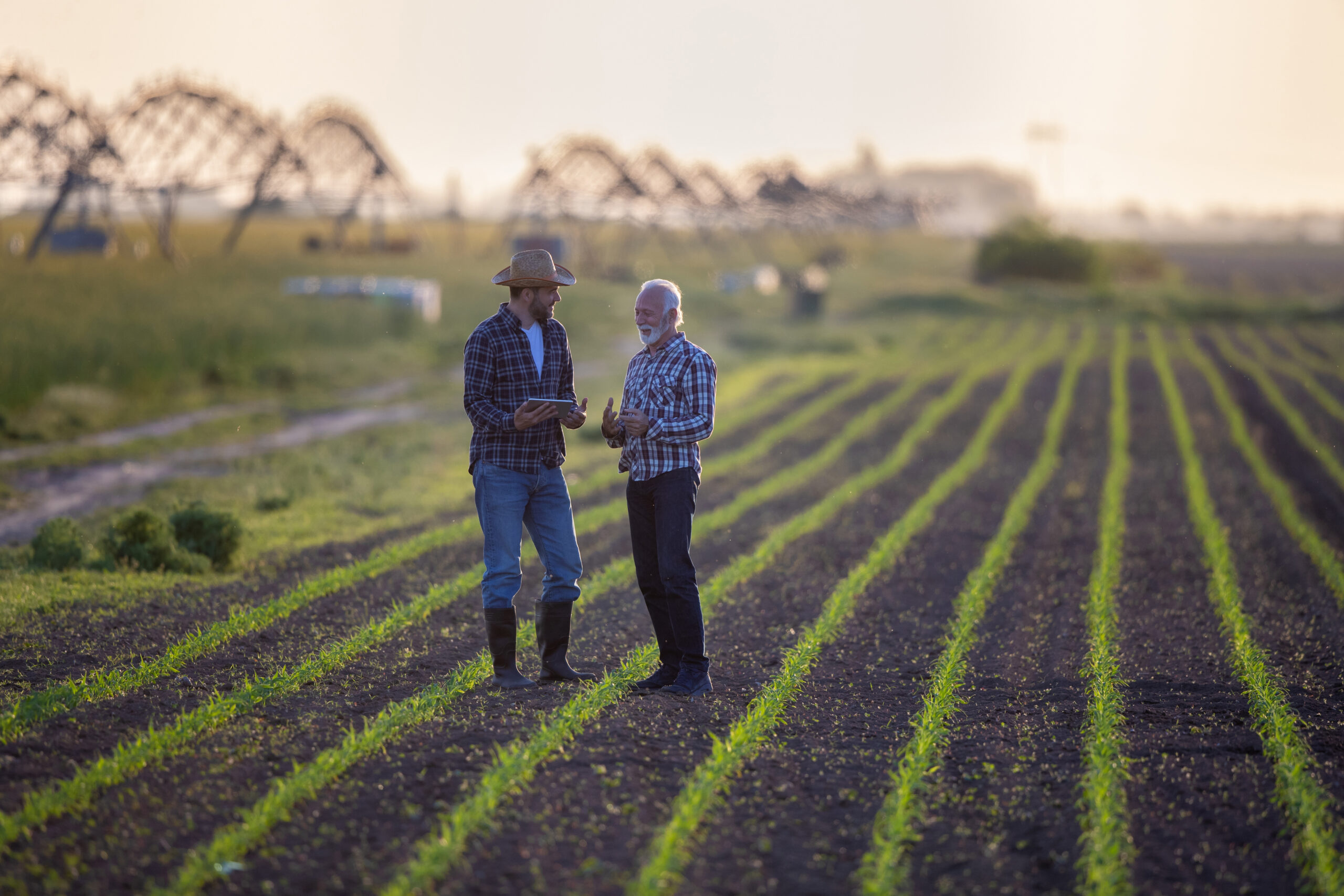 Farmers working in the field